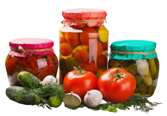 image-removebg-preview (3)